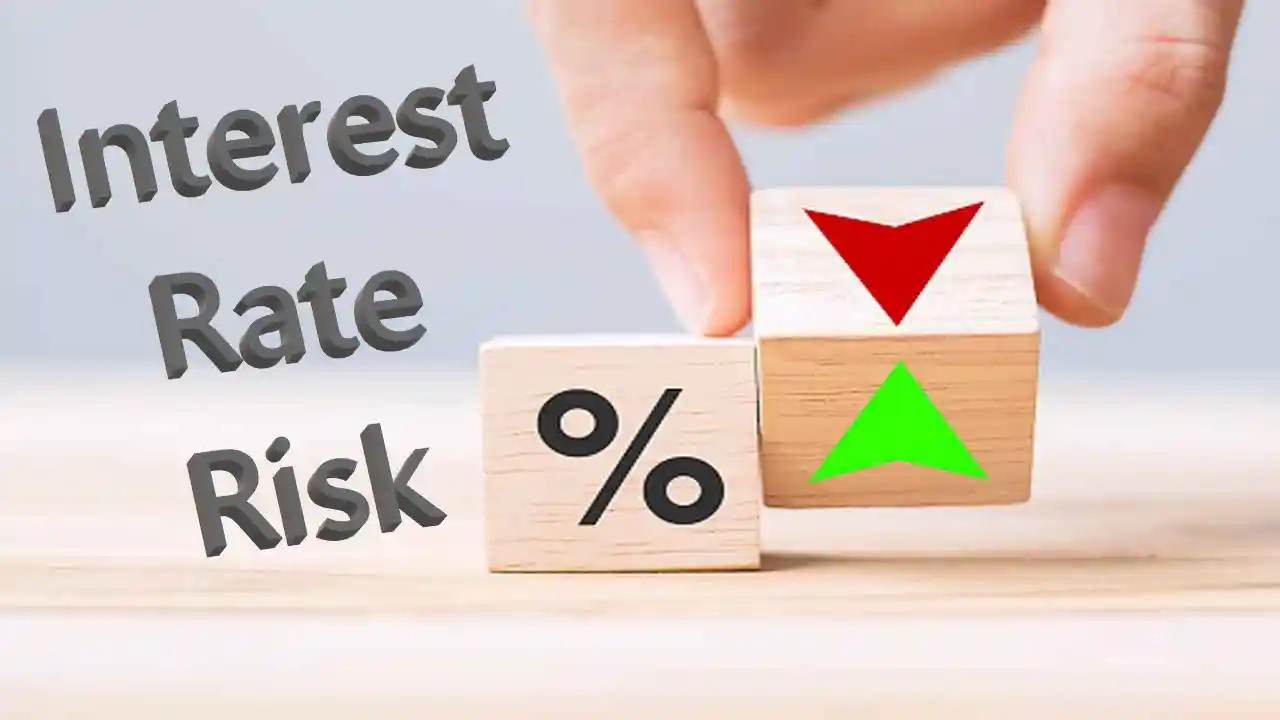 Interest Rate Risk-What is Interest Rate Risk Meaning-Types of Interest Rate Risk Examples of Interest Rate Risks