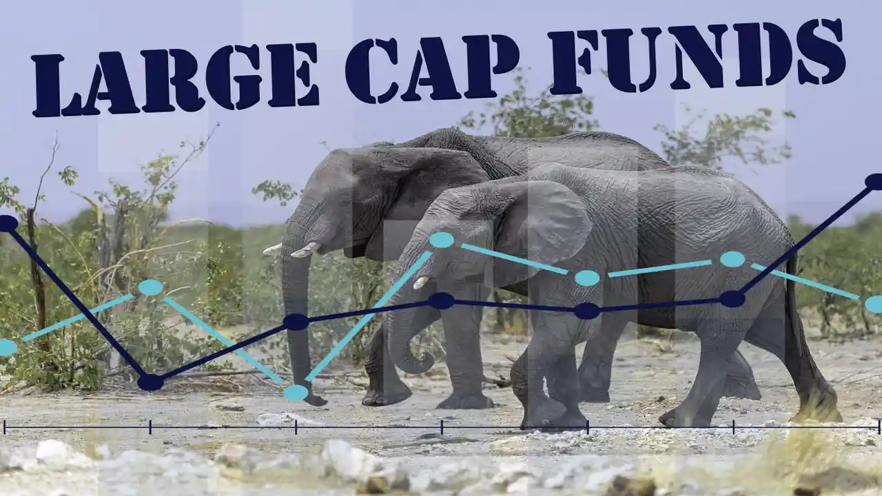 Large Cap Fund-What are Large Cap Mutual Funds-Examples of Large Cap Equity Funds-Features of Large Cap Funds Characteristics Advantages of Large Cap Funds