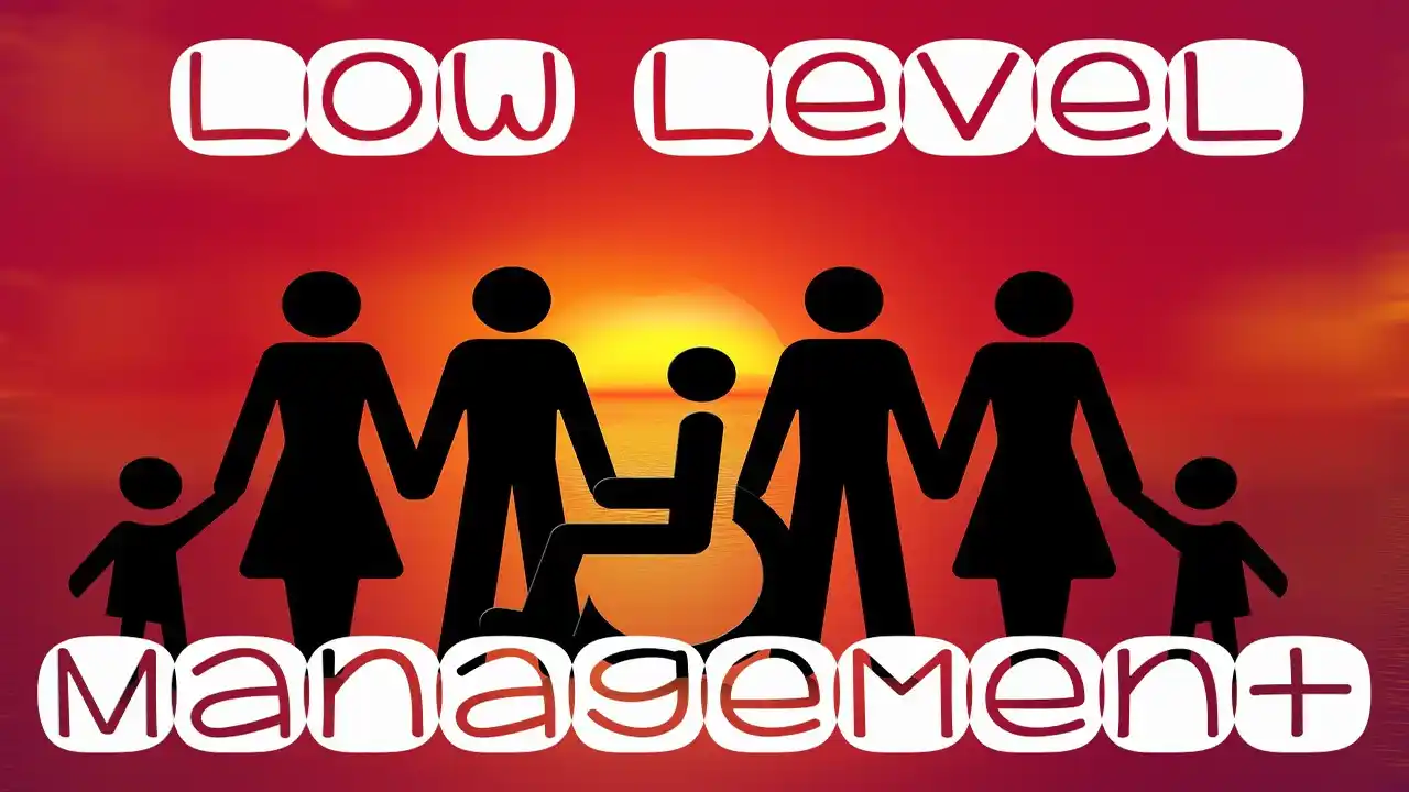 Low Level Management-Low Level Management