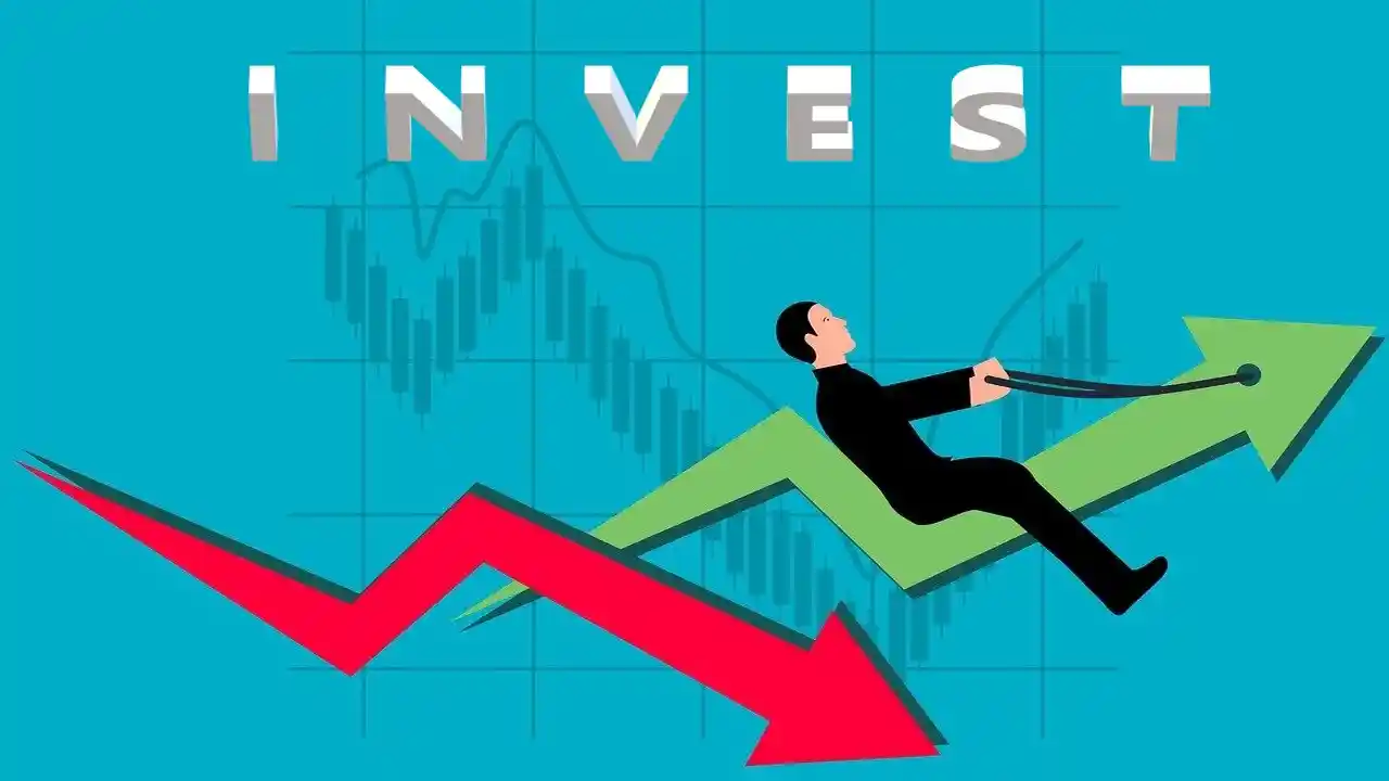 Types of Investors in Stock Market-Types of Investors in IPO-What are the Investors Types in Stock Market